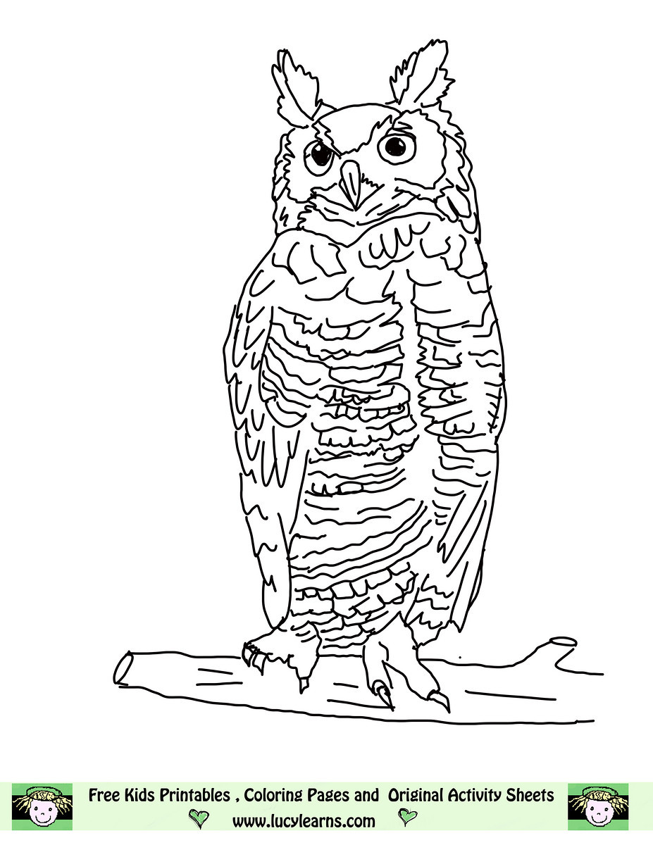 Owl Coloring Pages Coloring page