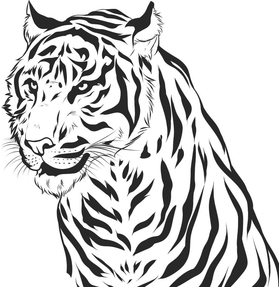 Tiger Coloring Pages Animal 14 Free Printable Easy