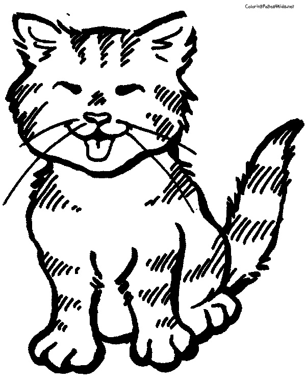 Cat Coloring Pages Cats Kitten Cool Simple