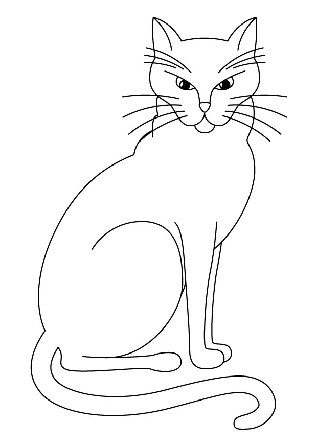 Cat Coloring Pages Cats Kitten Cool