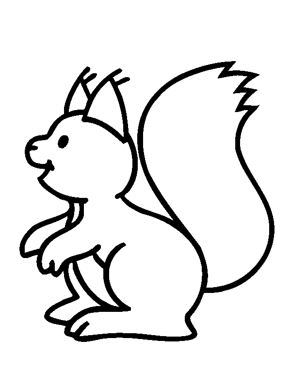Squirrel For Little Children Coloring Pages