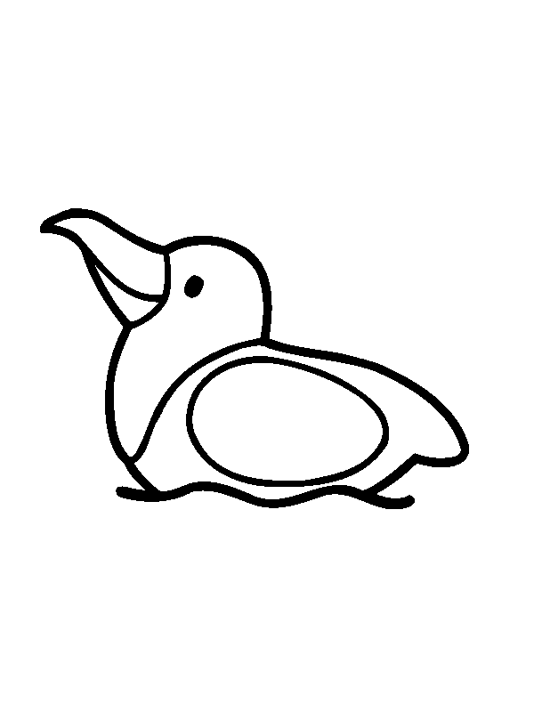Pelican For Little Children Coloring Pages