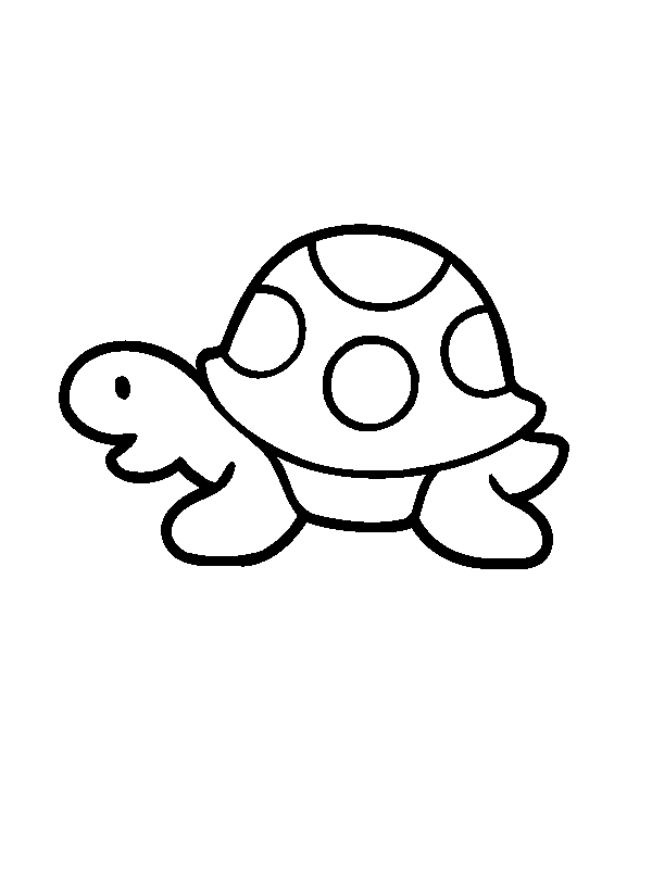 Baby Turtle For Little Children Coloring Pages