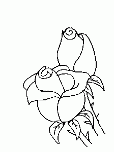 busy bee Coloring Pages