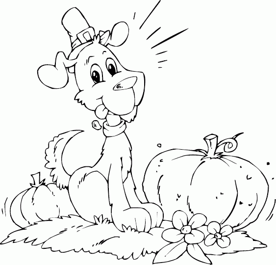 dog with pumpkins Coloring Pages