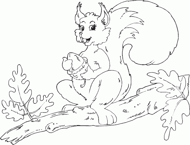 female squirrel with acorn Coloring Pages