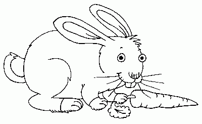 rabbit Coloring Pages