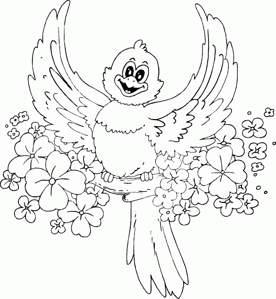 spring bird Coloring Pages