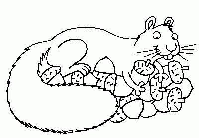 squirrel Coloring Pages