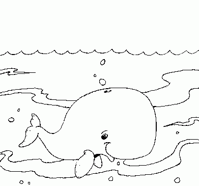 whale Coloring Pages
