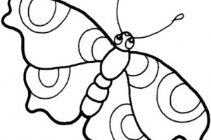 Big Butterfly coloring pages | Super Coloring - Part 2