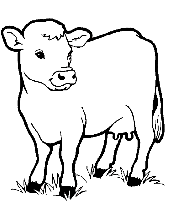 Big Cow  Free Coloring pages Â» Farm animals Coloring pages