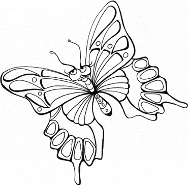  Brilliant butterfly coloring pages.gif