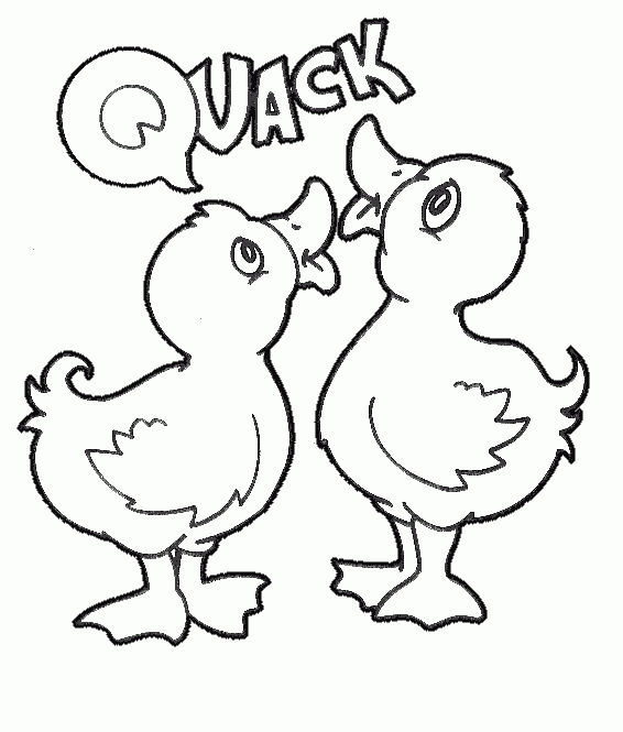 Duck animal-coloring-pages