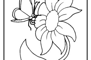 Fantastic flower coloring pages
