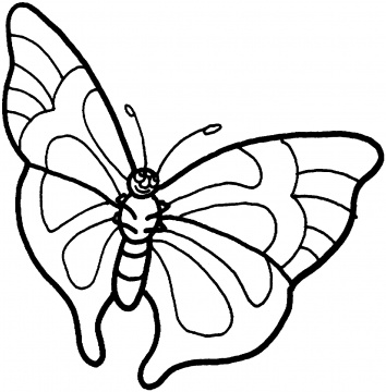 Fantastical Pin Butterfly Outline Coloring Page Super Cake on Pinterest