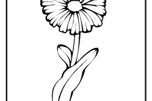 Genial Flower Coloring Pages - 37