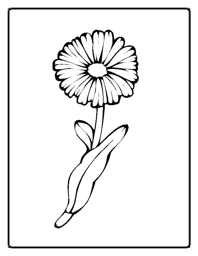  Genial Flower Coloring Pages – 37