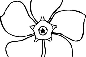 Great flower coloring pages flower coloring pages 2 flower coloring pages 3
