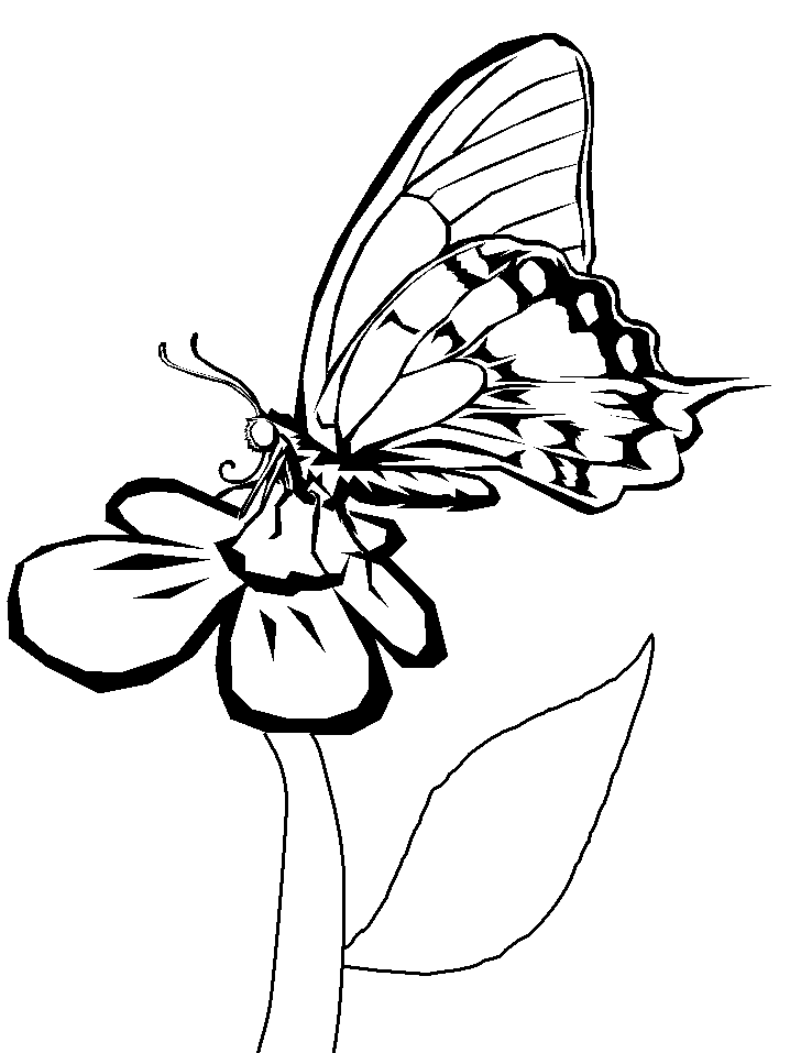 Imagine Butterflies Coloring Pages | Coloring Pages To Print