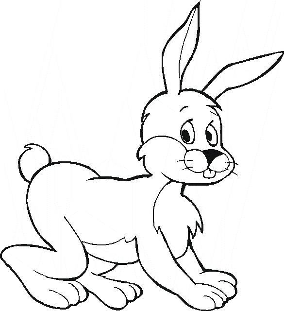  Rabbit Animal Coloring Pages Jumping Rabbit for you to color