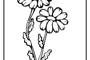 Real flower coloring pages 4 flower coloring pages 5 flower coloring pages