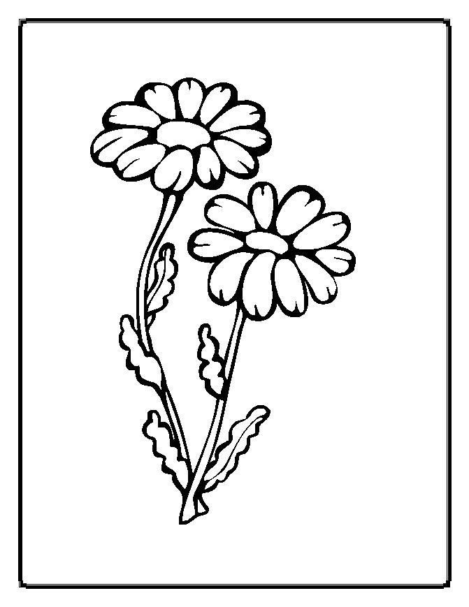  Real flower coloring pages 4 flower coloring pages 5 flower coloring pages