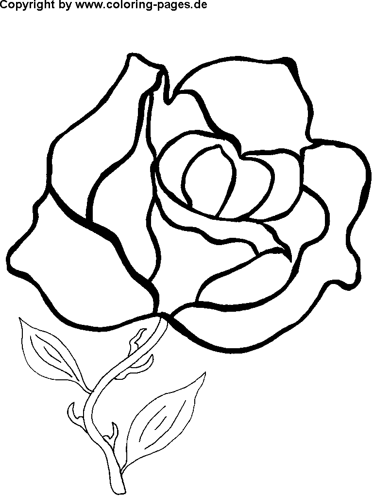 Rose Flower Coloring Pages | Free Flower Coloring Pages for Kids