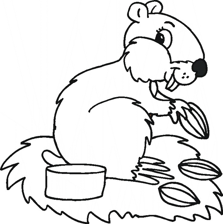  Squirrel Animal Coloring Pages