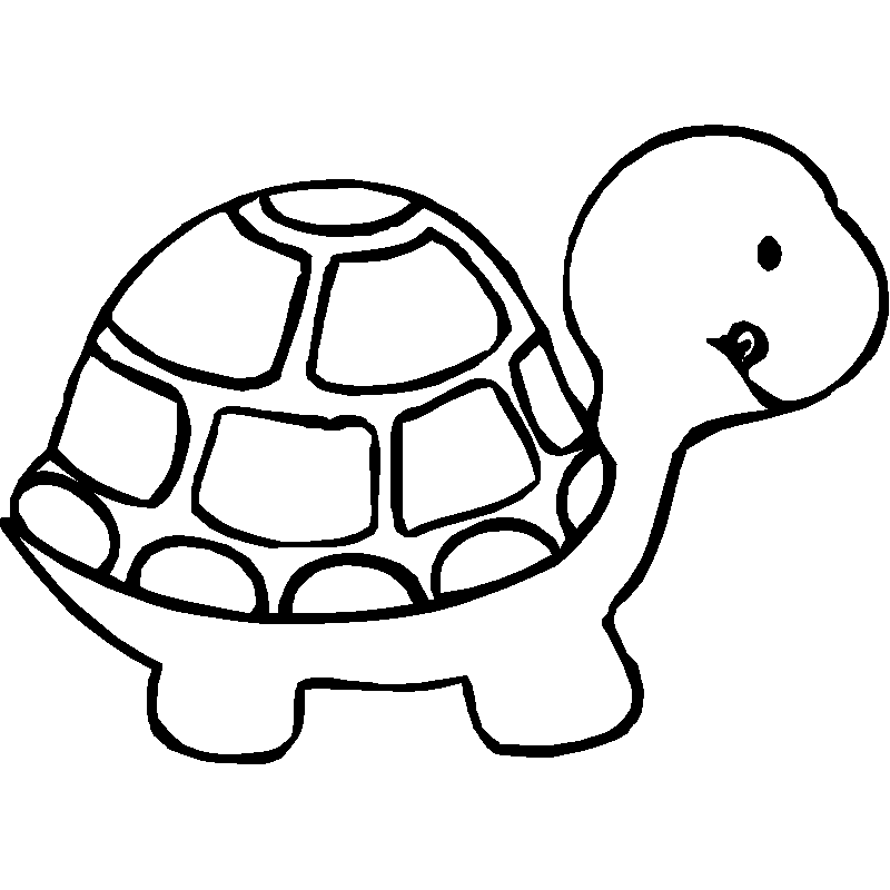 Turtle Pics of Animals Coloring Pages