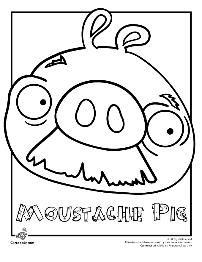 Yellow angry birds coloring pages blue angry birds coloring pages pig