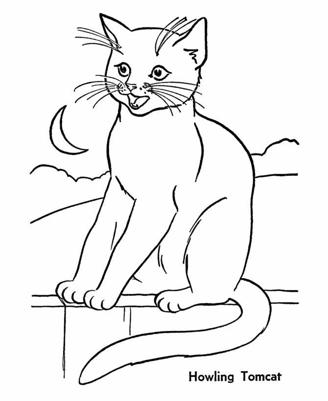 Cat Coloring Pages - letscoloringpages.com , cat in the night