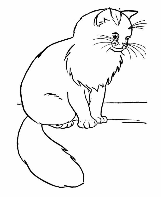 Cat Coloring Pages - letscoloringpages.com , cat on the floor
