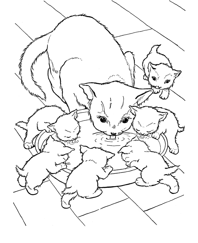 Cat Coloring Pages - letscoloringpages.com , cat with kittens milk