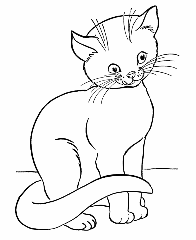  Cat Coloring Pages – letscoloringpages.com , Cute cat with smile