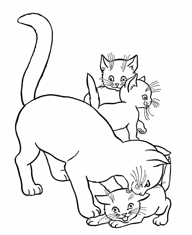 Cat Coloring Pages - letscoloringpages.com , Siamese cat play with kittens