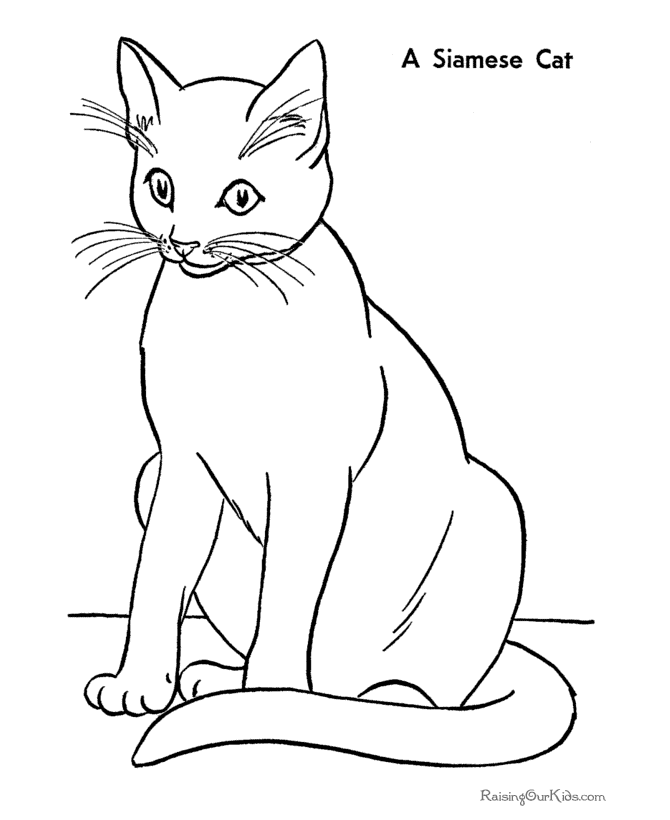 Cat Coloring Pages - letscoloringpages.com , Siamese cat