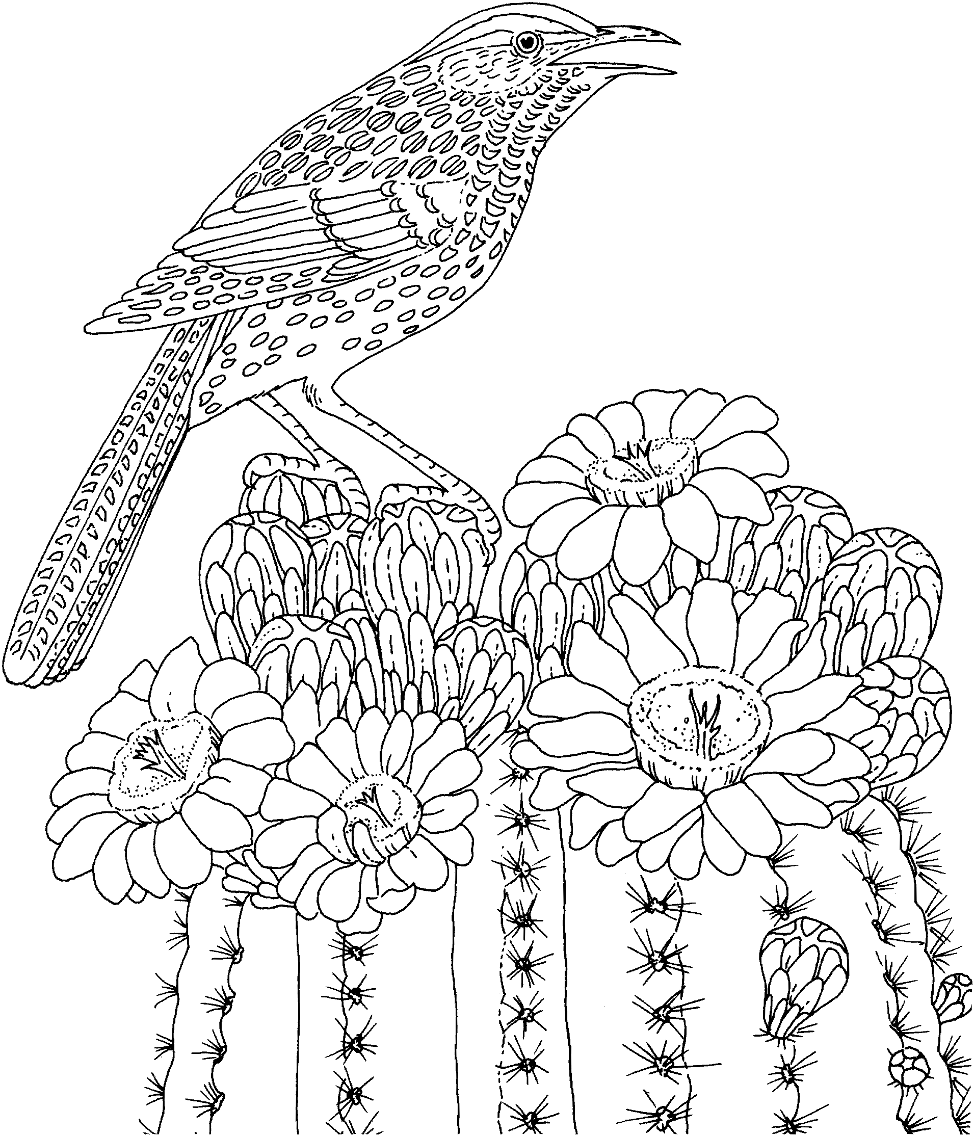 coloring pages for adults - printable coloring pages for adults - adult coloring pages - #14