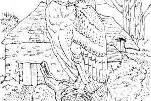 coloring pages for adults - printable coloring pages for adults - adult coloring pages - #8