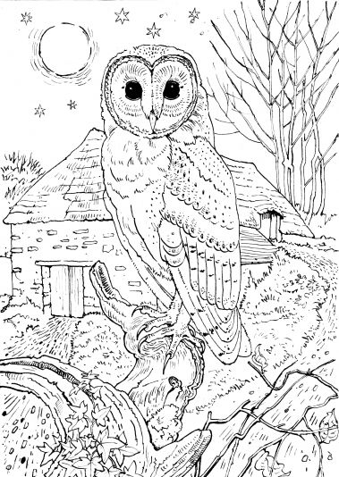  coloring pages for adults – printable coloring pages for adults – adult coloring pages – #8