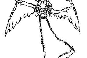 Free Angel Coloring Pages , letscoloringpages.com , Cute Angel #8