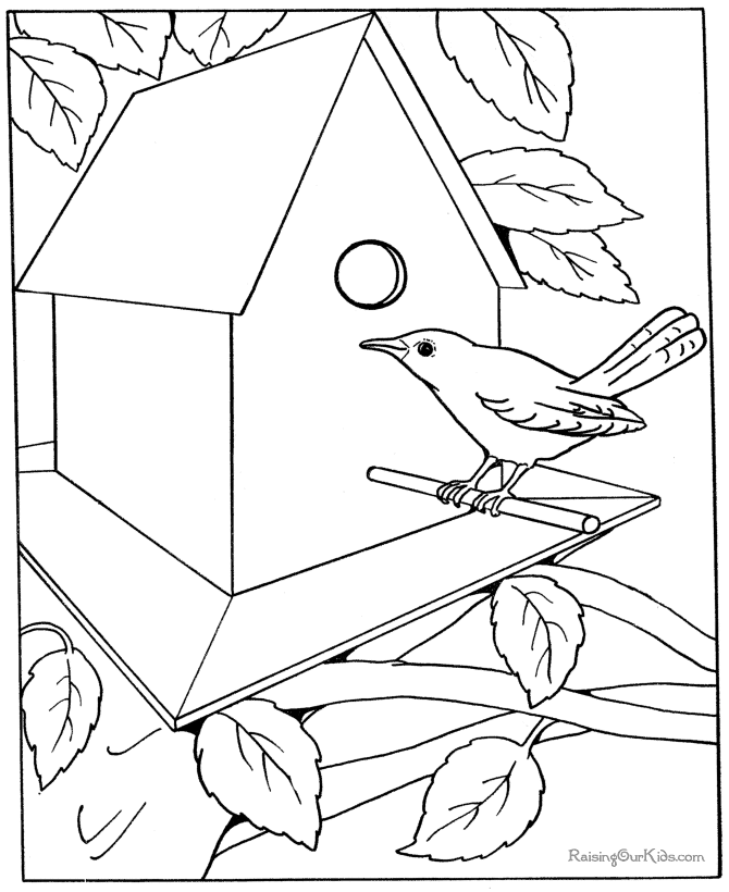 Free Coloring Pages For Adults - letscoloringpages.com - Bird