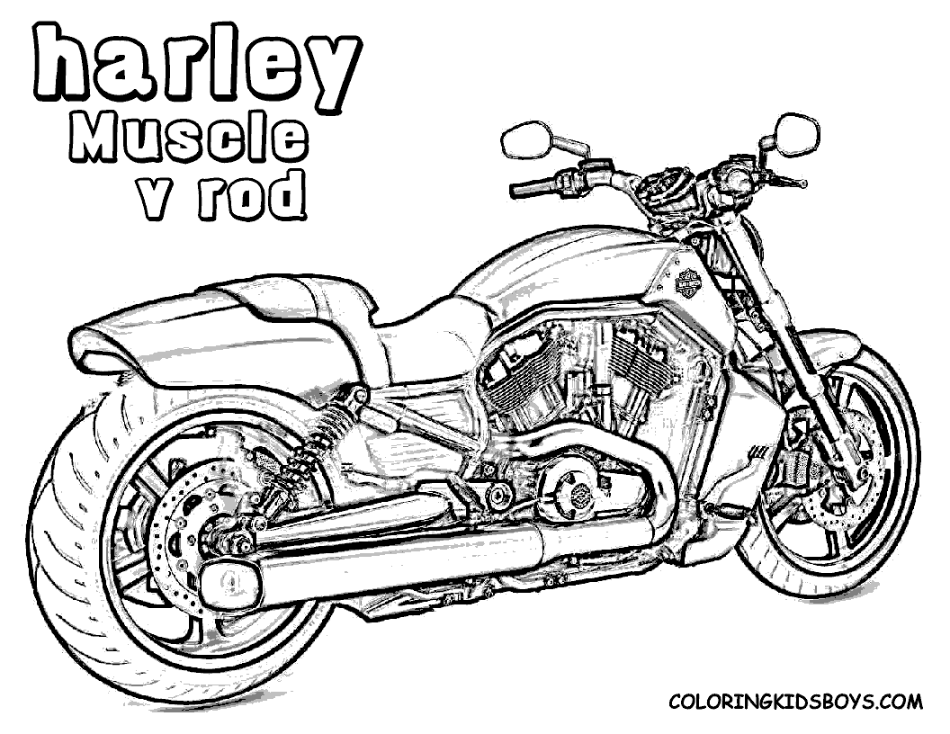 Free Harley Davidson Motocycle Coloring Pages | Harley Davidson Muscle-V-Rod coloring pages