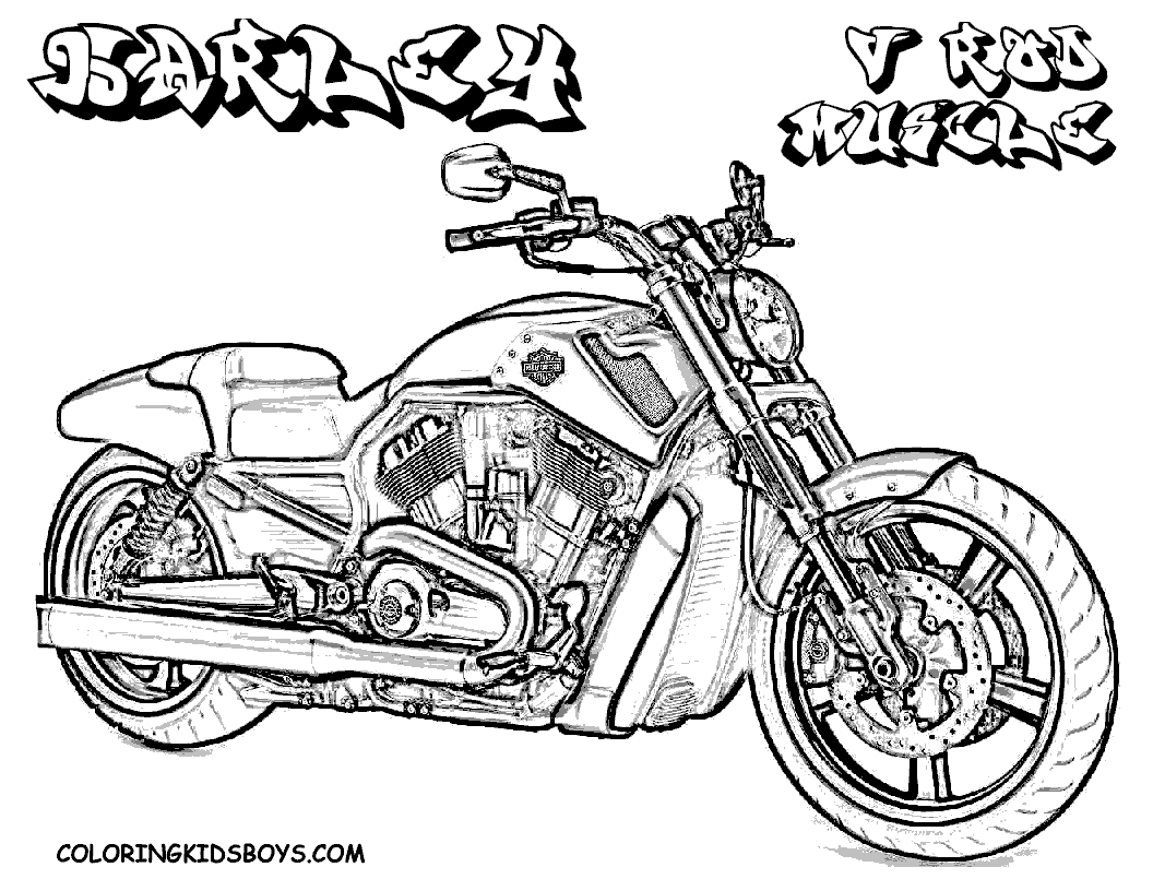 Free Harley Davidson Motocycle Coloring Pages | Harley Davidson V-rod Muscle coloring pages