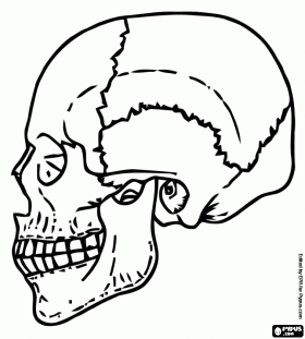  Skull tattoo | tattoos | tattoo | Skull coloring page | Halloween | printable | #30