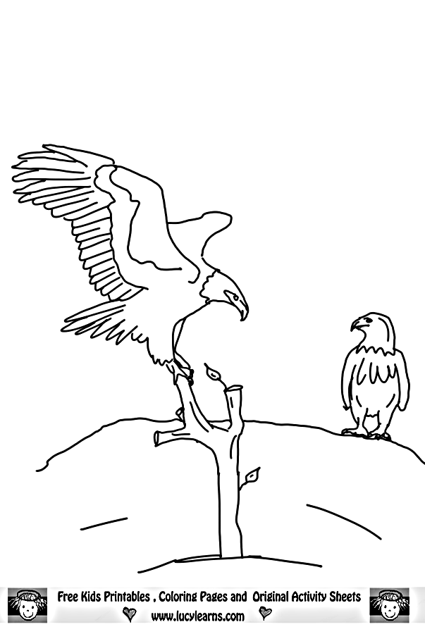 Eagle coloring pages - Bird coloring pages - animals coloring pages - #10