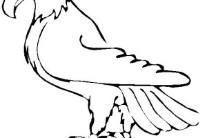 Eagle coloring pages - Bird coloring pages - animals coloring pages - #12