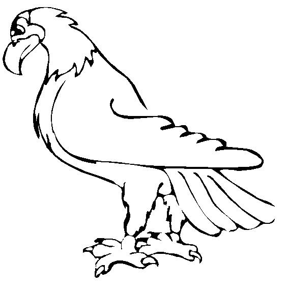 Eagle coloring pages – Bird coloring pages – animals coloring pages – #12