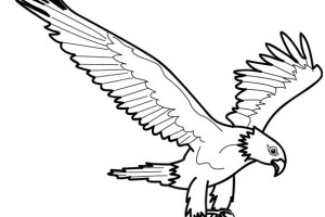 Eagle coloring pages - Bird coloring pages - animals coloring pages - #18