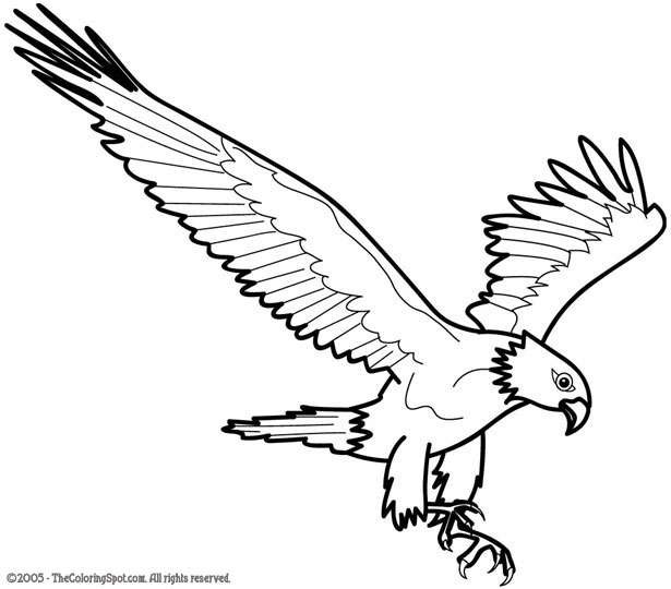 Eagle coloring pages – Bird coloring pages – animals coloring pages – #18